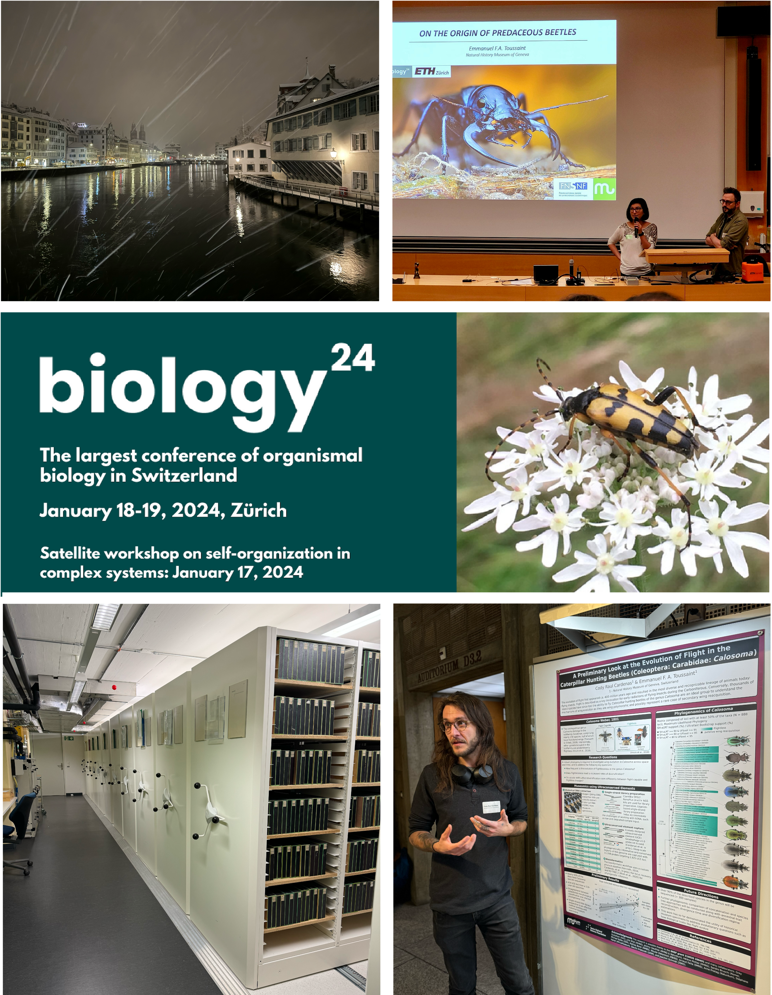 Biology24