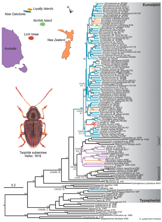 Capture d’écran 2024-07-22 à 13.16.52